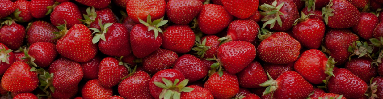 bg-strawberry.png