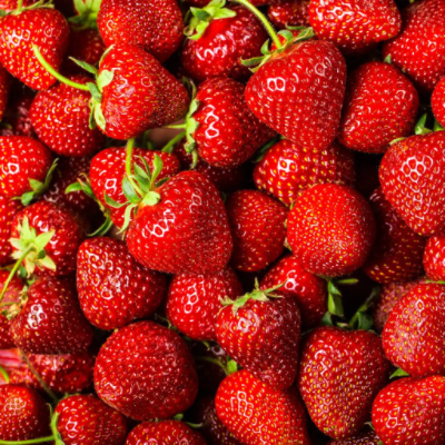 strawberry-tioga-pstti.png