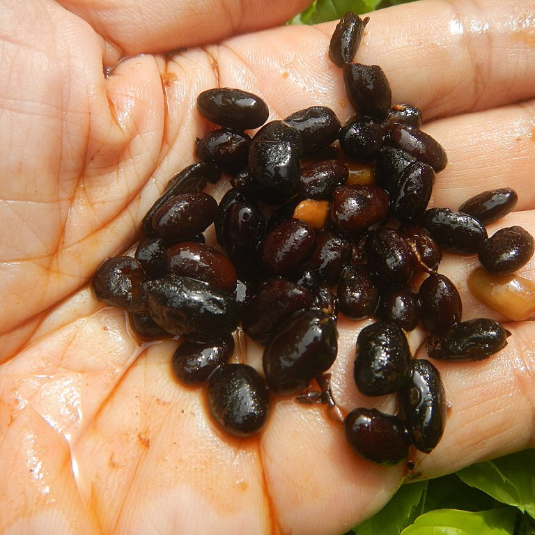 1024px-2022Preserved_black_beans_Tahure_23-resized.jpg