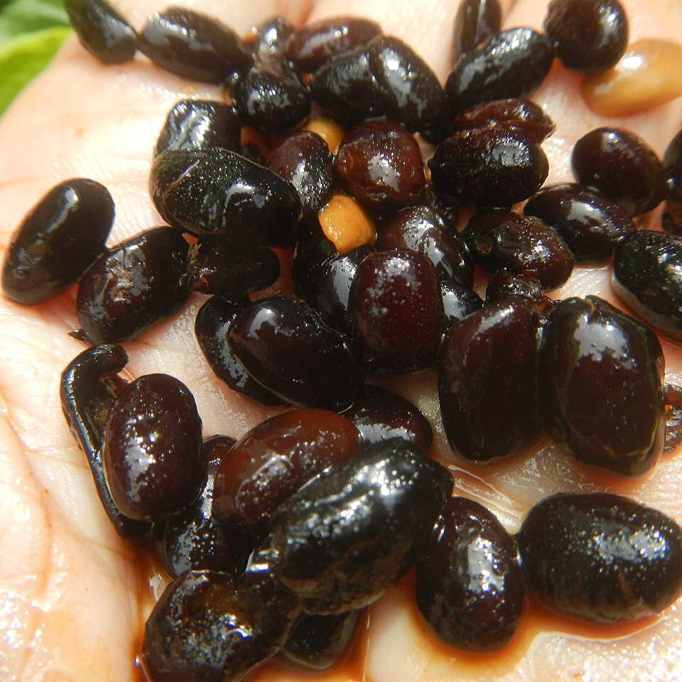 1280px-2022Preserved_black_beans_Tahure_24-resized.jpg