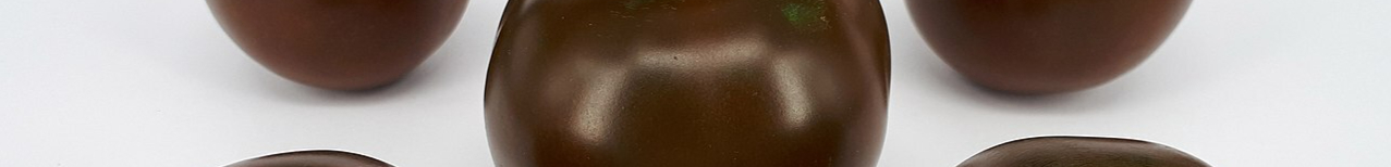 1280px-5_x_Kumato_2017_A-resized.jpg