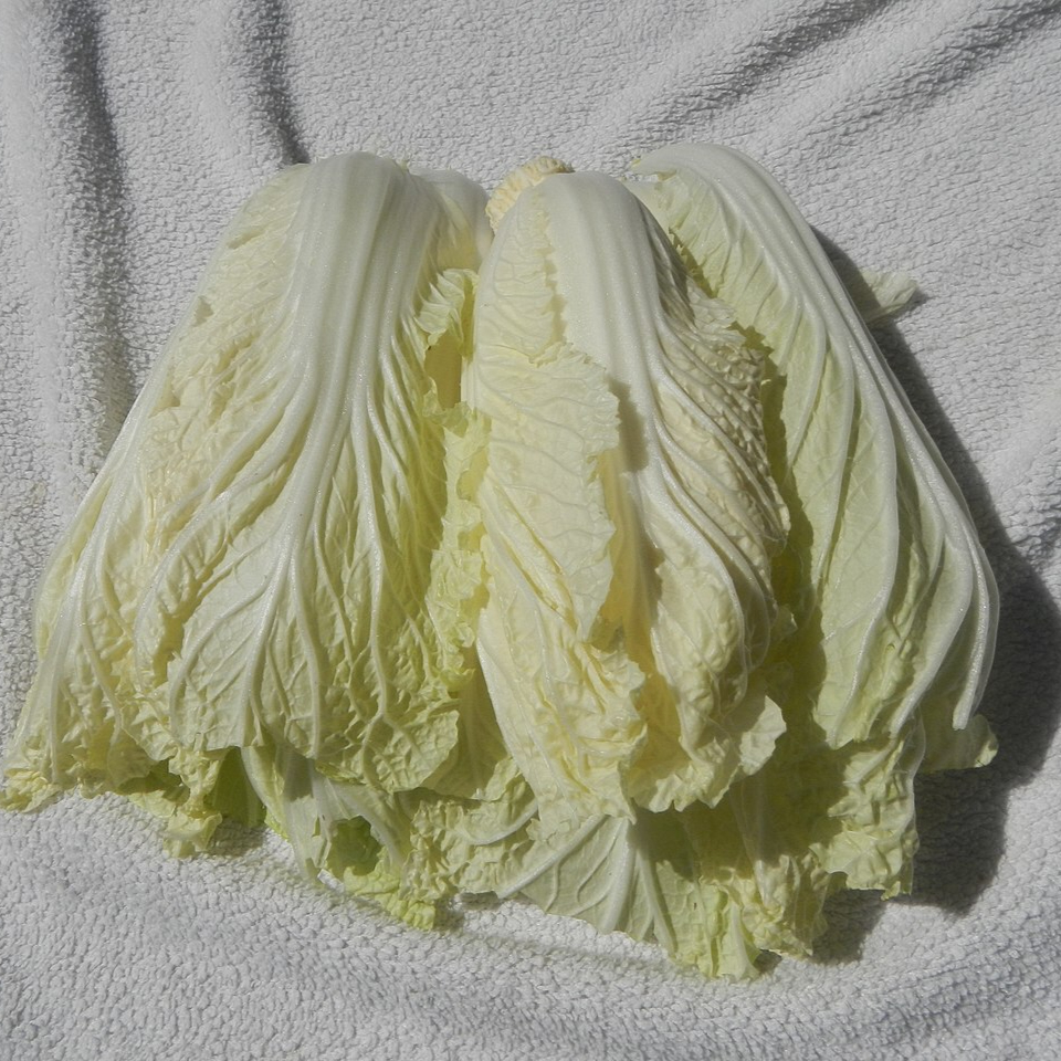 1280px-6094Chicken_napa_cabbage_02-resized.jpg
