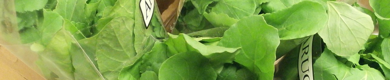 1280px-Arugula_for_sale-resized.jpg