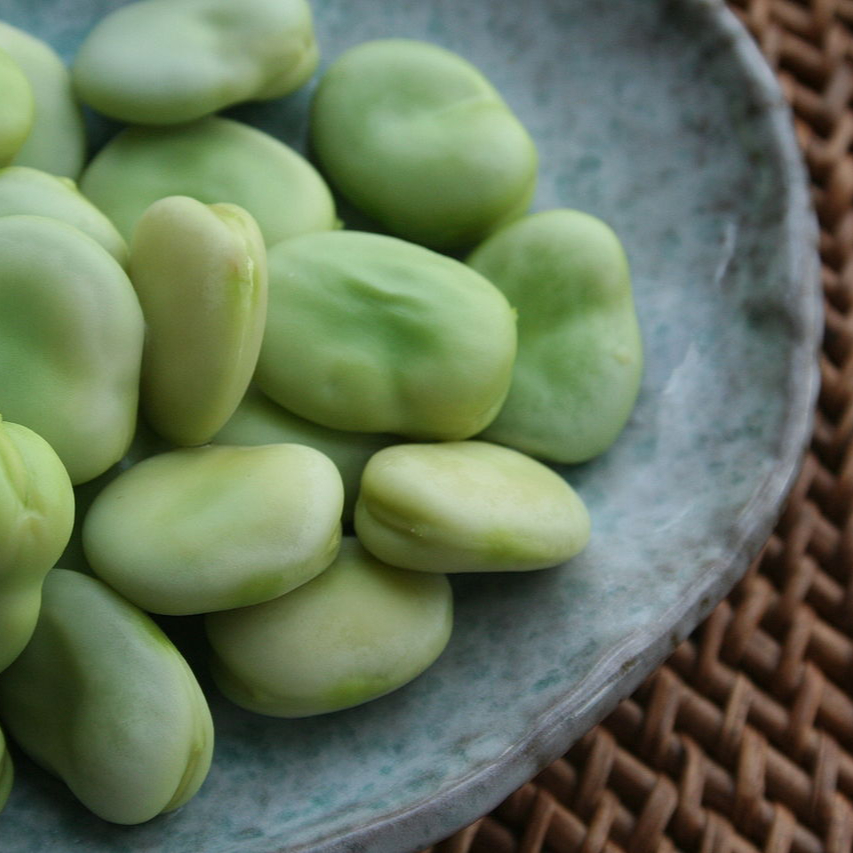 1280px-Broad-beans-after-cooking-resized.jpg