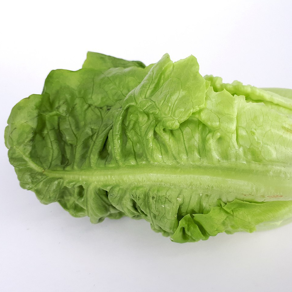 1280px-Cos_lettuce_2017_A1-resized.jpg