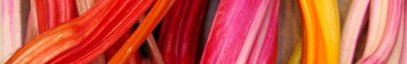 34154228130_b150294edd_c-resized.jpg
