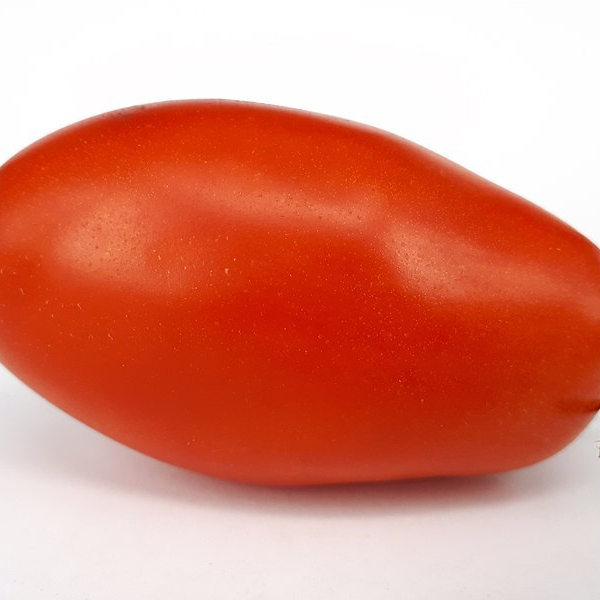 800px-Tomate_pera_2017_K-resized.jpg