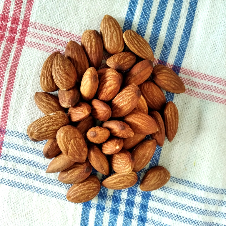 almond-almonds-nuts-nut-fruit-fruits-1616337-pxhere.com-resized.jpg