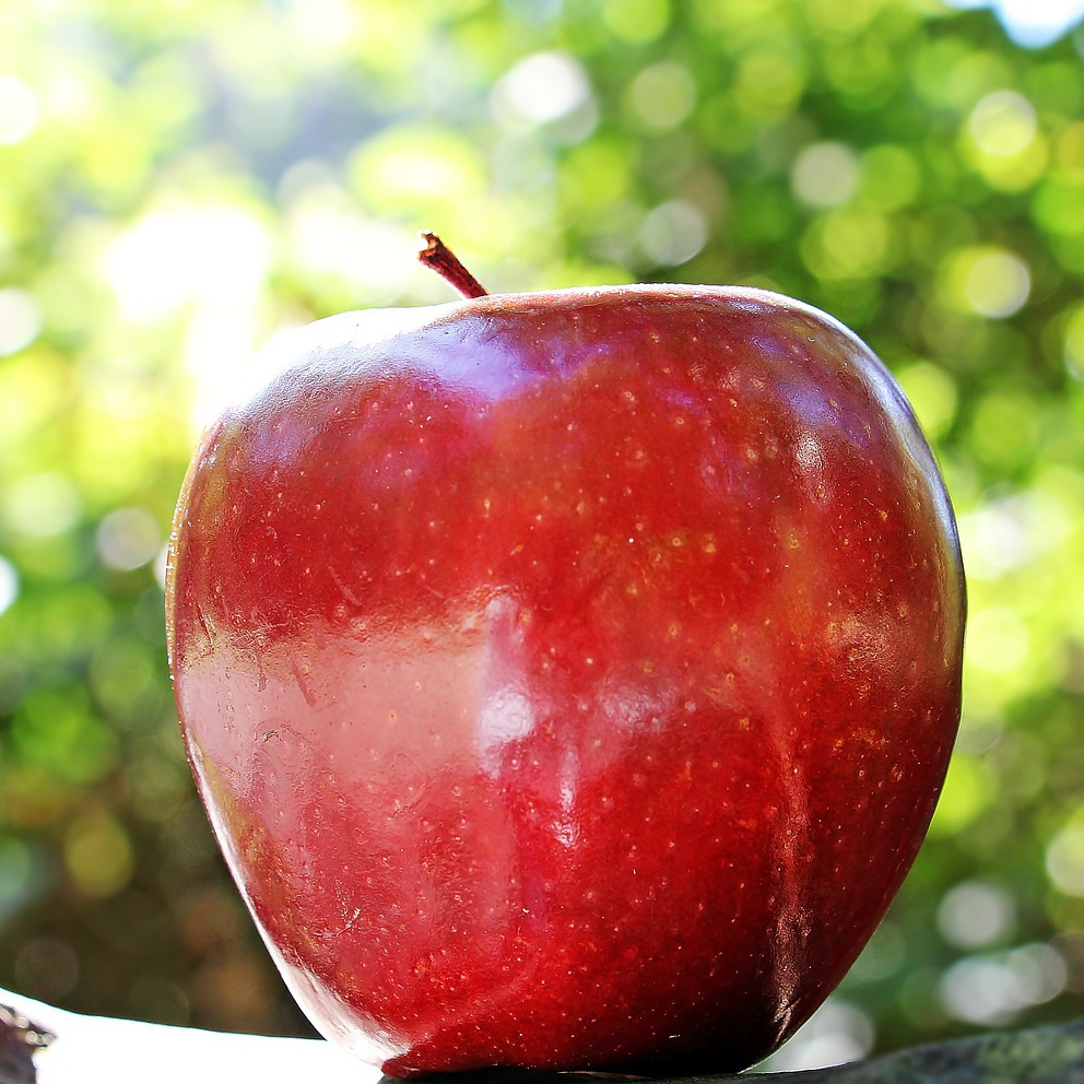 apple-1702316_1280-resized.jpg