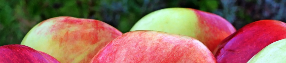 apple-plant-fruit-ripe-food-produce-490389-pxhere.com-resized.jpg