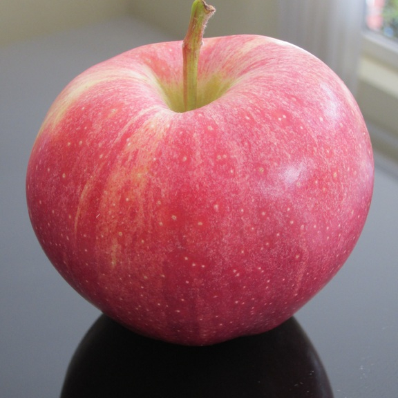 apple-plant-fruit-sweet-flower-ripe-1294894-pxhere.com-resized.jpg