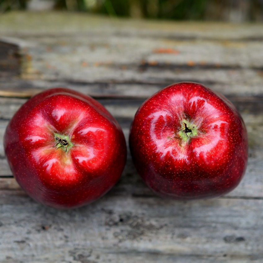 apples-661694_1280-resized.jpg