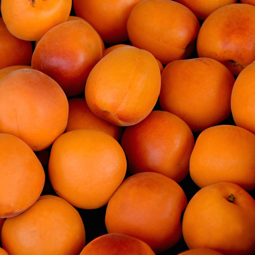 apricots-1509634_1280-resized.jpg