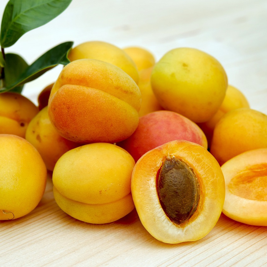 apricots-2523272_1280-resized.jpg