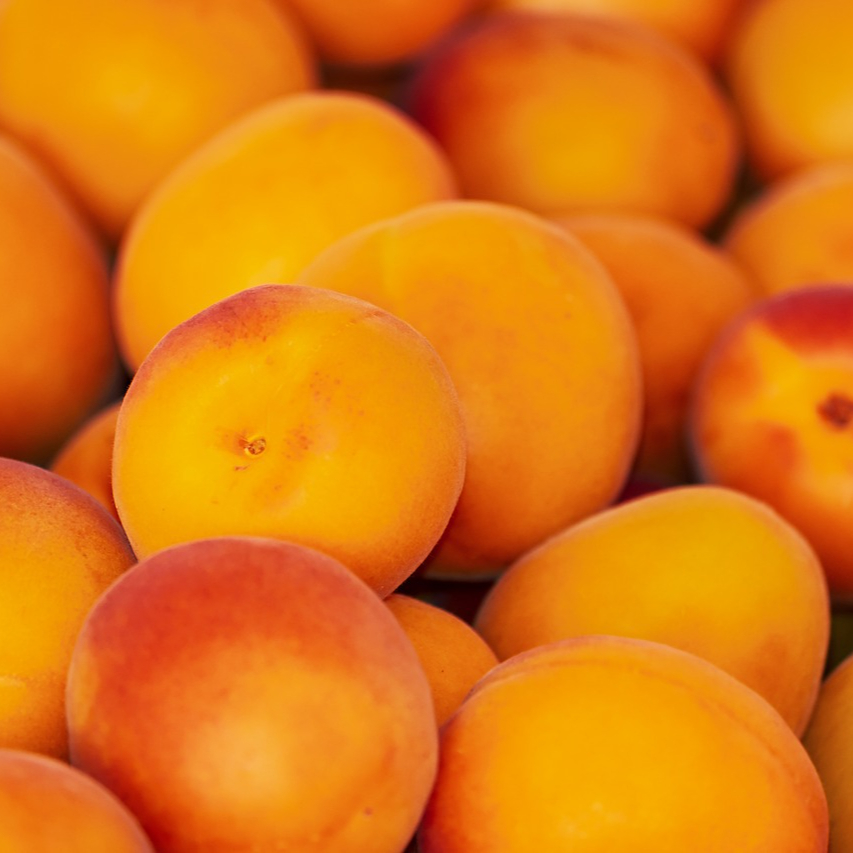 apricots-3433818_1280-resized.jpg