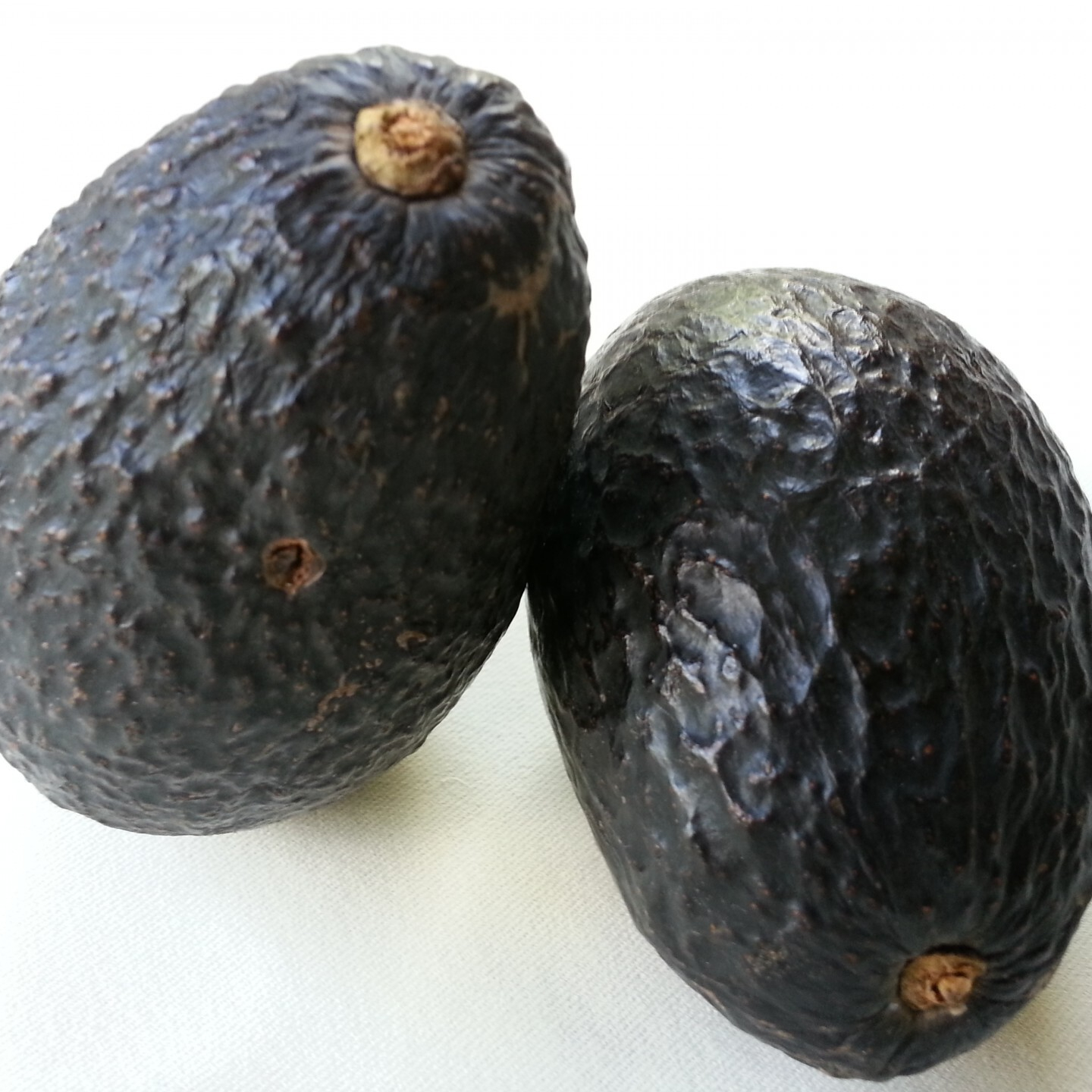 avocado-1369079995mdH-resized.jpg