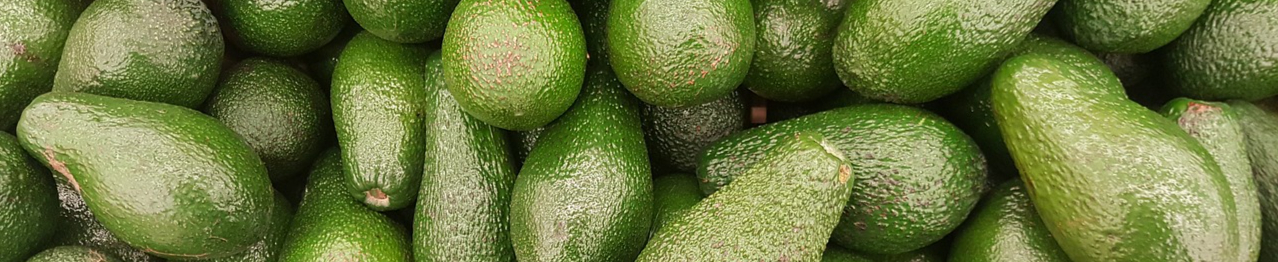 avocado-2351191_1280-resized.jpg