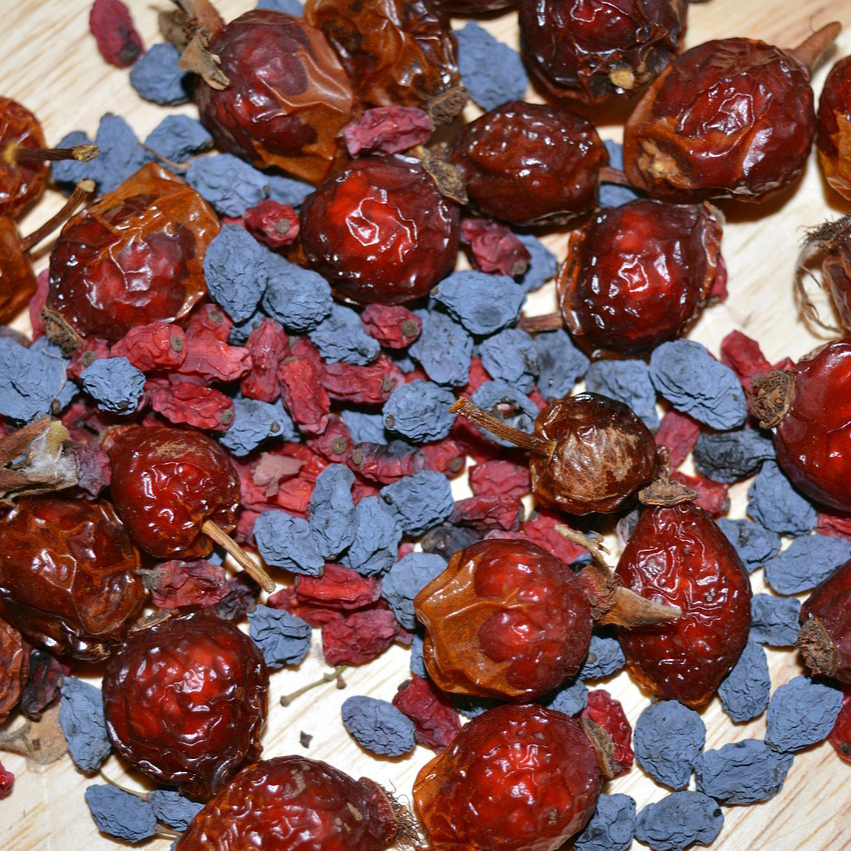 barberry-1034722_1280-resized.jpg
