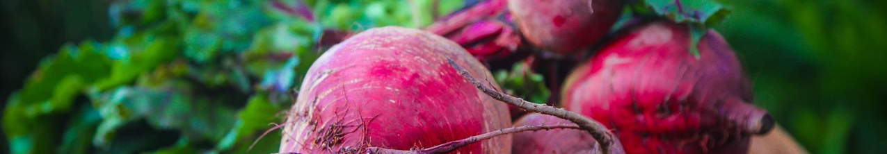 beetroot-687251_1280-resized.jpg