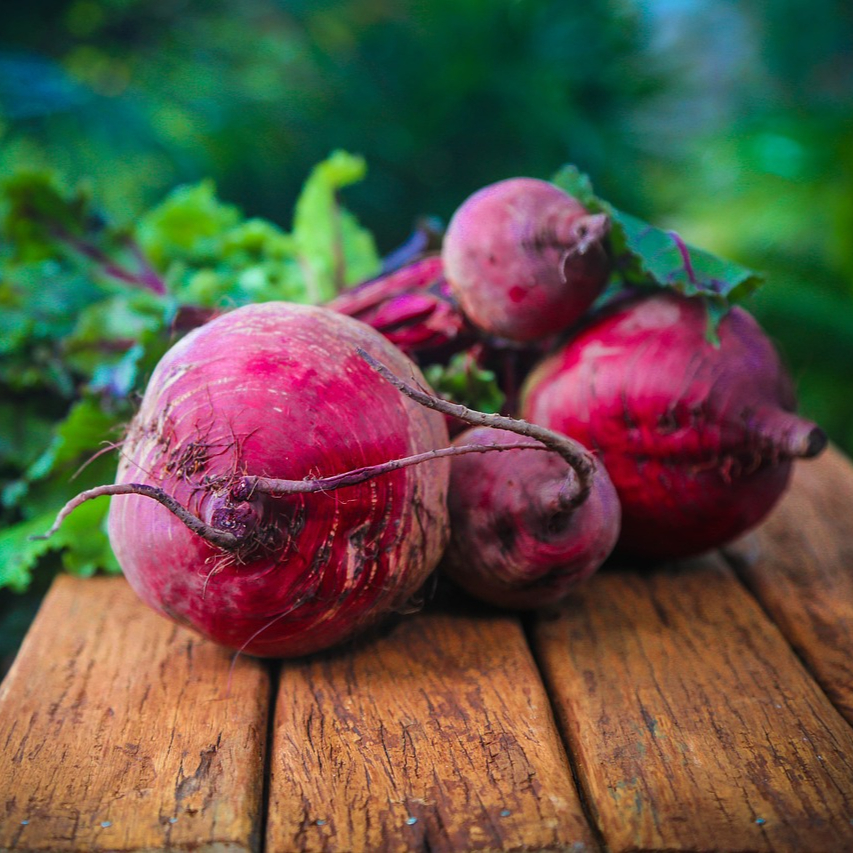 beetroot-687251_1280-resized.jpg