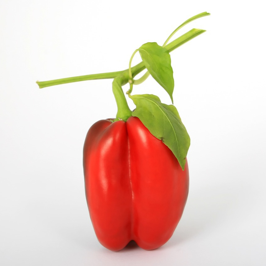 bell-pepper-1239424_1280-resized.jpg