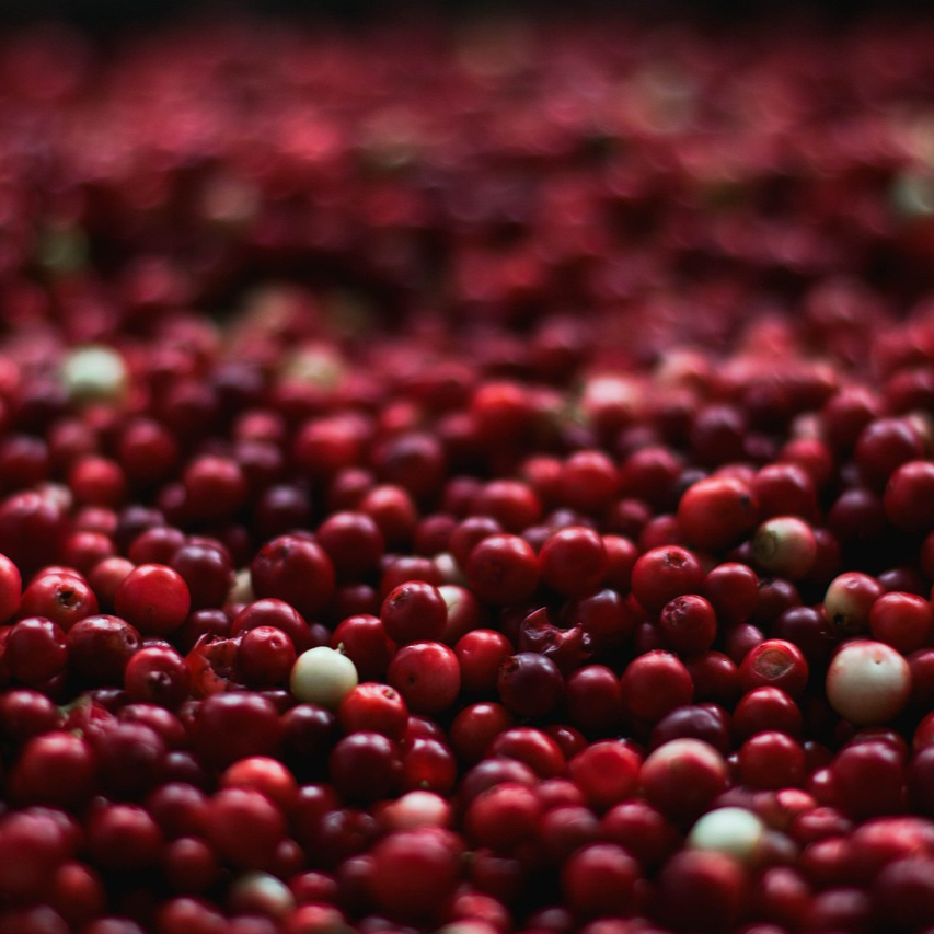 berries-1851161_1280-resized.jpg