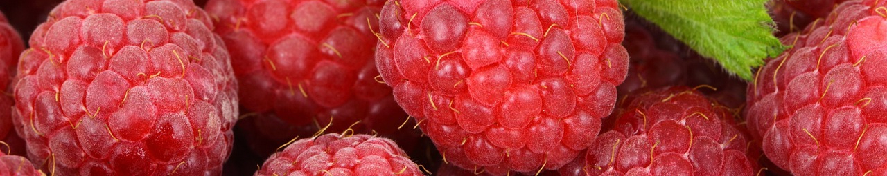 berries-2276_1280-resized.jpg