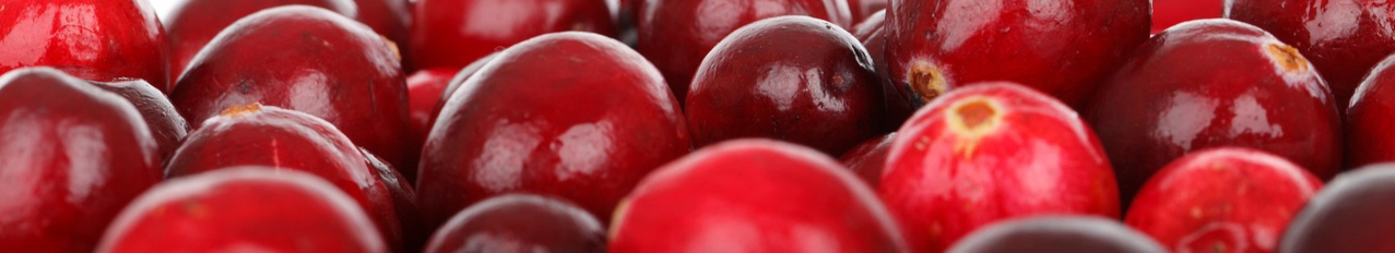 berry-20149_1280-resized.jpg