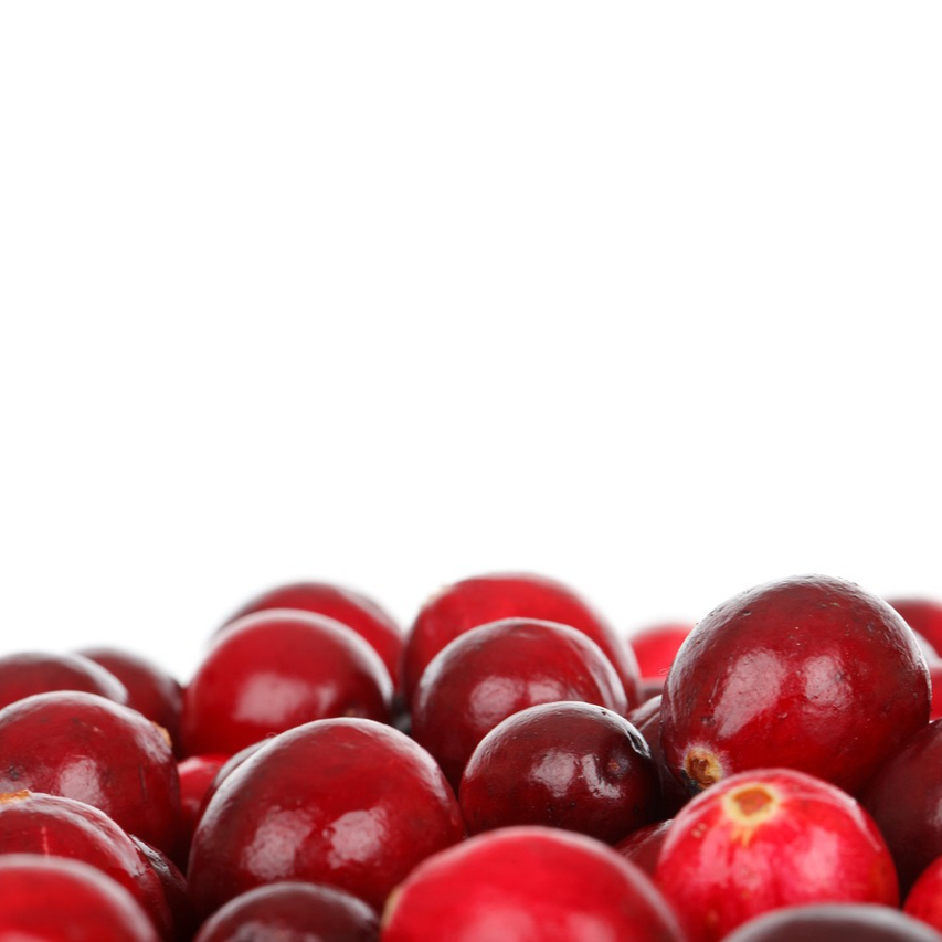 berry-20149_1280-resized.jpg
