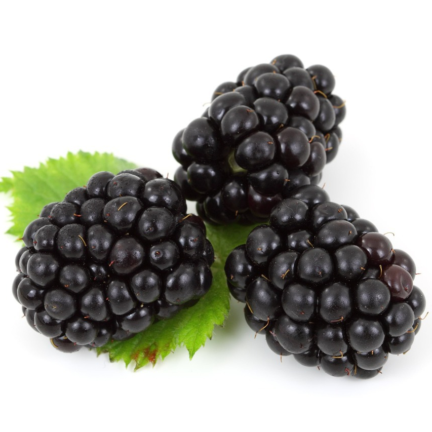 berry-2275_1280-resized.jpg