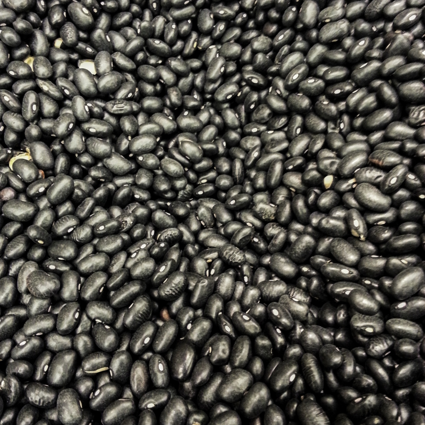 black-beans-background-resized.jpg