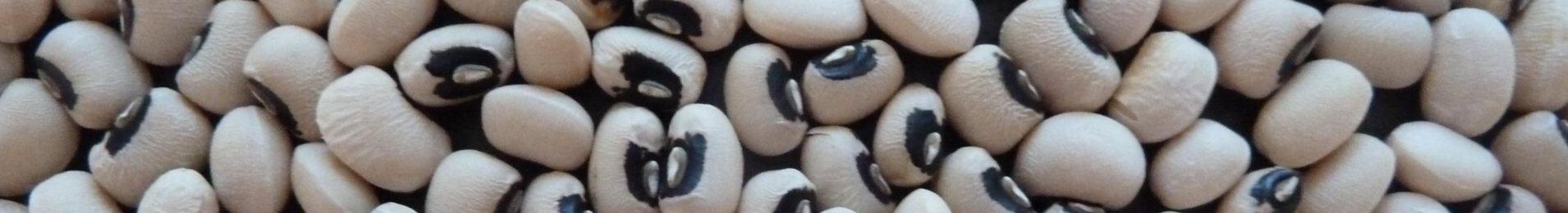 black-eyed-beans-resized.jpg