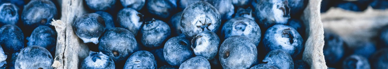 blueberries-1326154_1280-resized.jpg