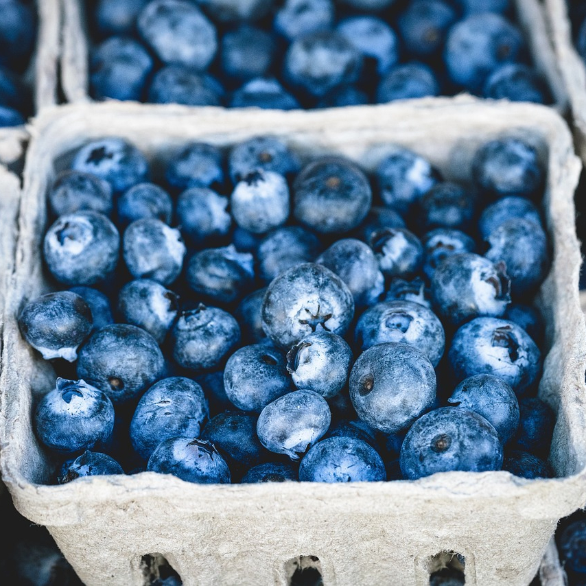 blueberries-1326154_1280-resized.jpg