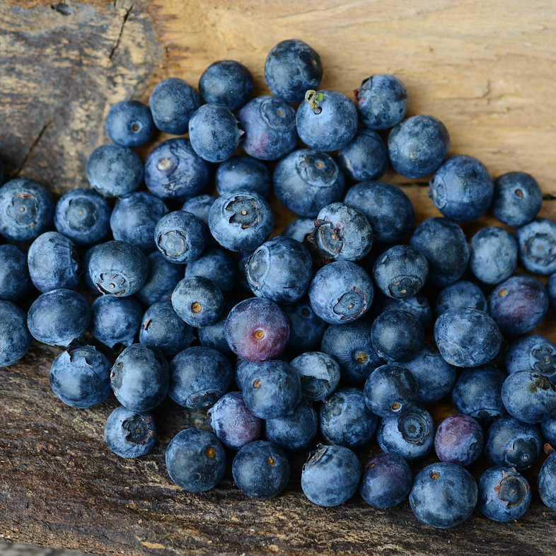 blueberries-2270379_1280-resized.jpg
