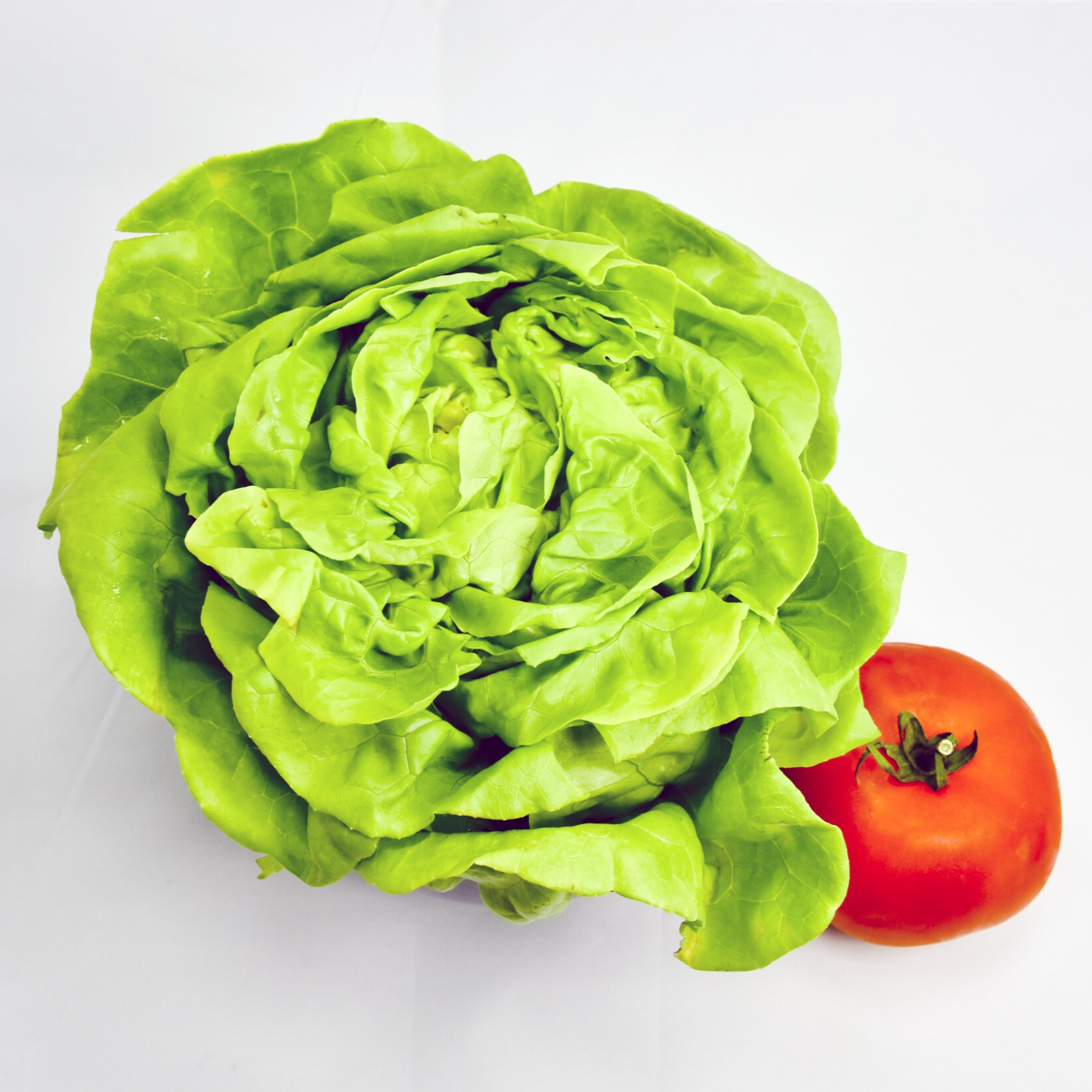 butter-lettuce-and-tomato-resized.jpg
