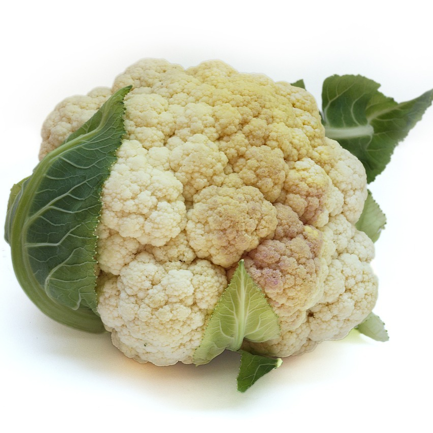cabbage-957778_1280-resized.jpg