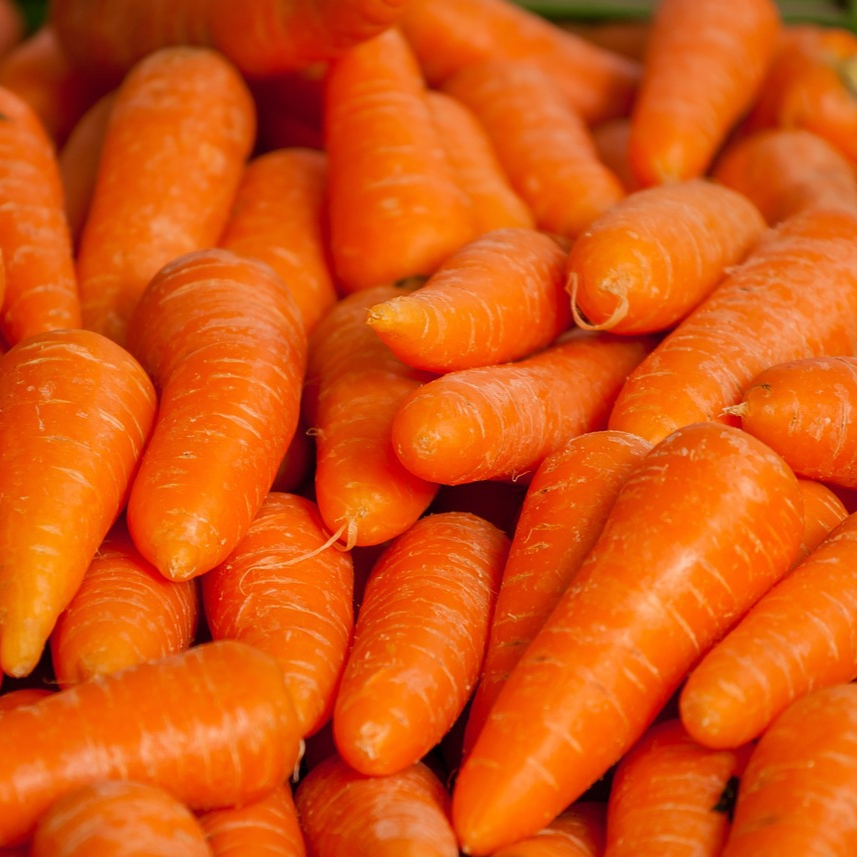 carrots-1508847_1280-resized.jpg