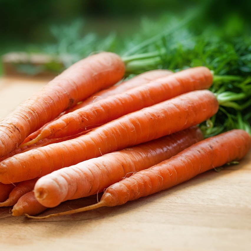 carrots-1851424_1280-resized.jpg
