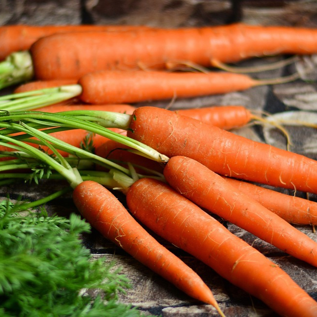 carrots-2387394_1280-resized.jpg