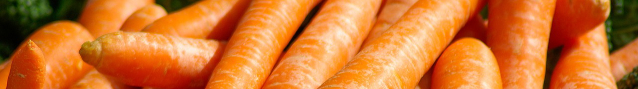 carrots-673184_1280-resized.jpg