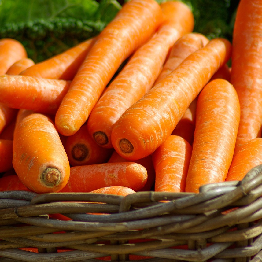 carrots-673184_1280-resized.jpg
