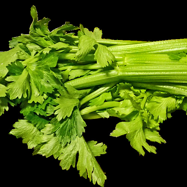 celery-5509677_1280-resized.jpg