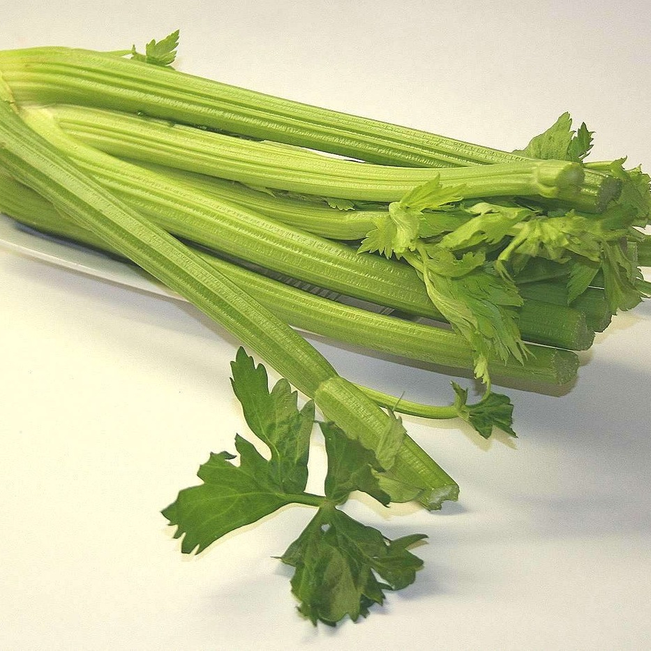 celery-74333_1280-resized.jpg