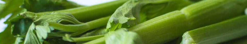 celery-green-food-vegetable-healthy-wallpaper-preview-resized.jpg