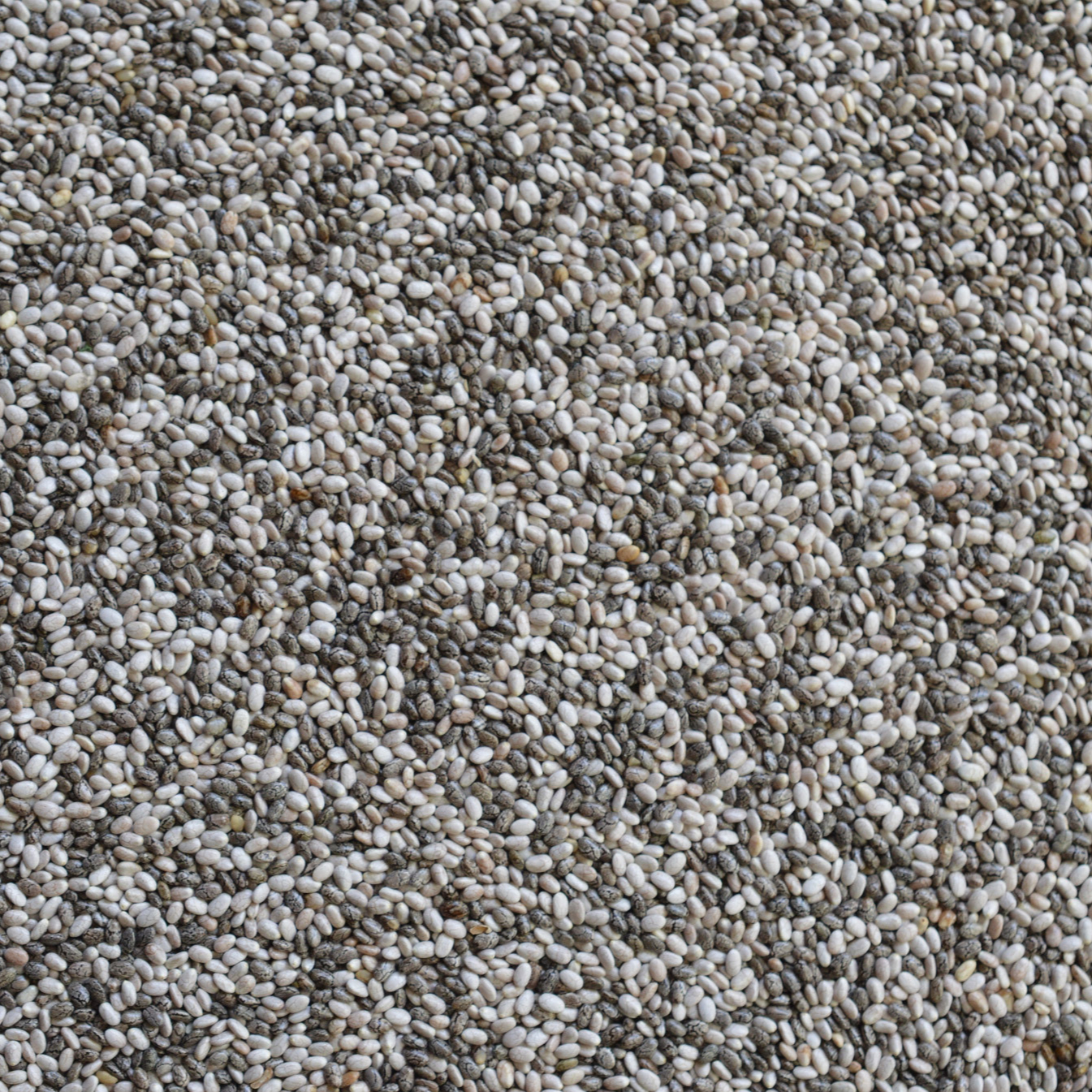 chai-seeds-resized.jpg