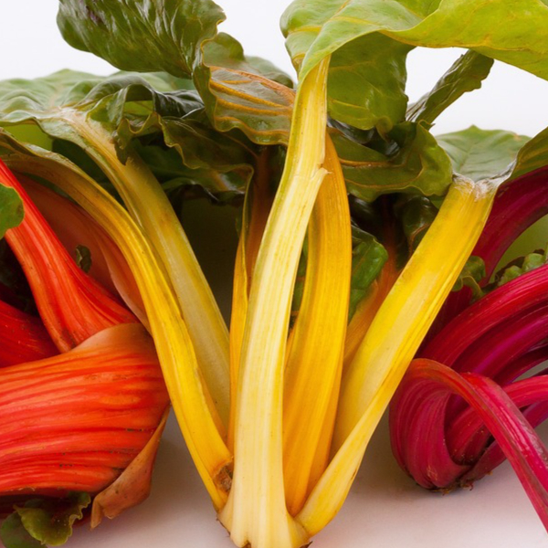 chard-1230813_1280-resized.jpg