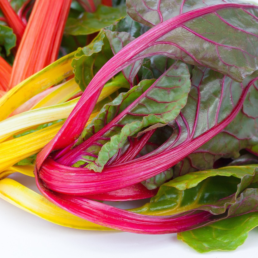 chard-1230819_1280-resized.jpg