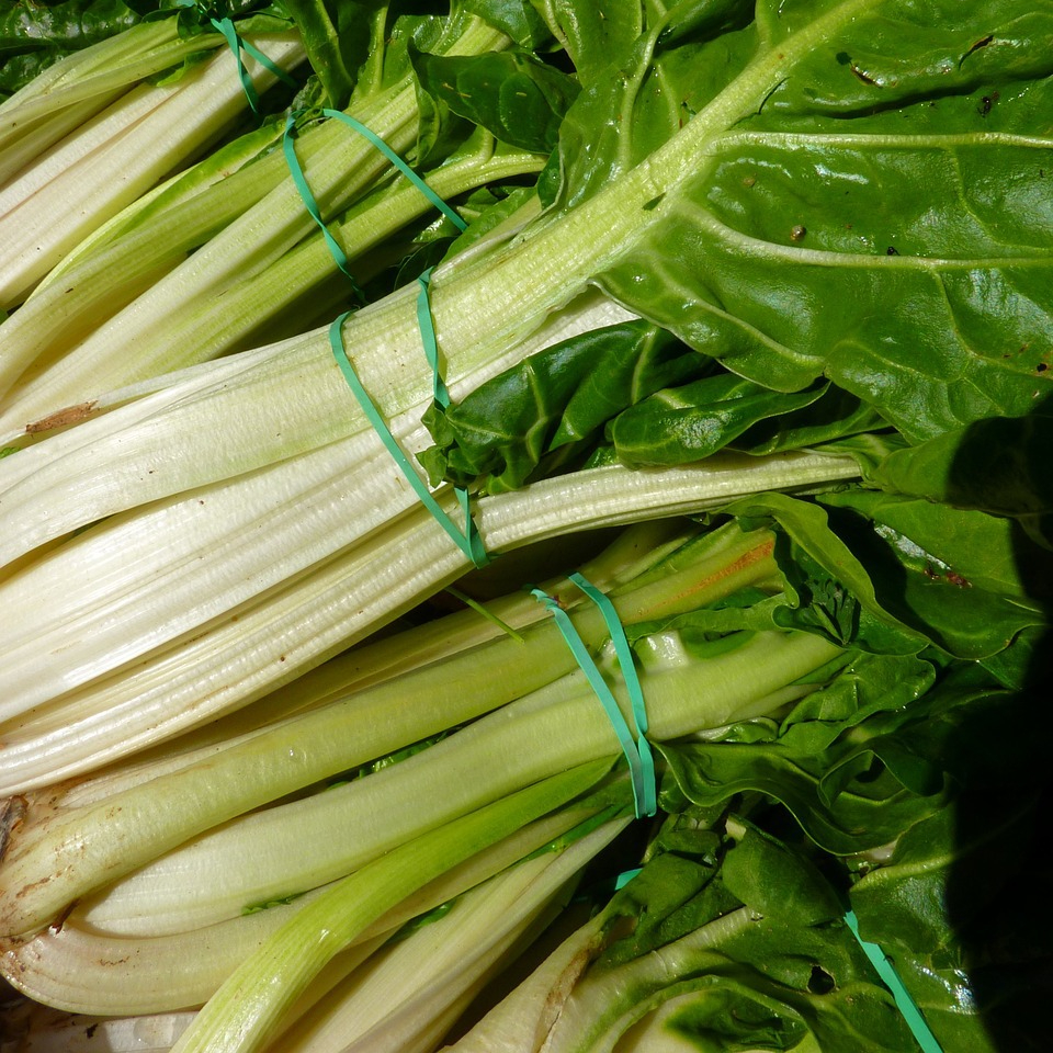 chard-5370_1280-resized.jpg