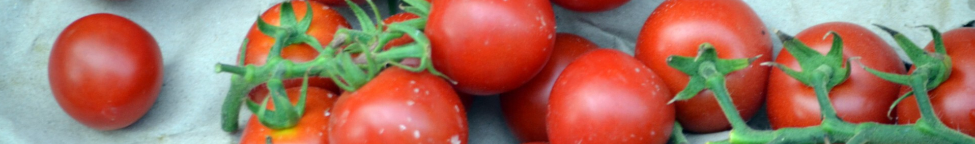 cherry-tomatoes-1372245615Yku-resized.jpg